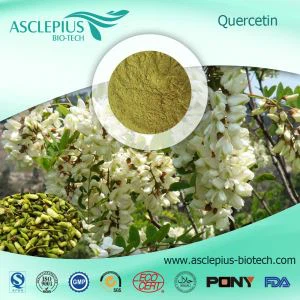 Hypericum Ascyron L. ایکسٹریکٹ پاؤڈر سپلائر تھوک/بشمول Quercetin Complex پاؤڈر، quercetin Dihydrate