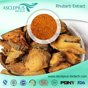 Rheum Officinale Extract,Rheum Officinale Baill,Rhubarb Extract سپلائر تھوک فروشی/فعال جزو ایموڈین ہے